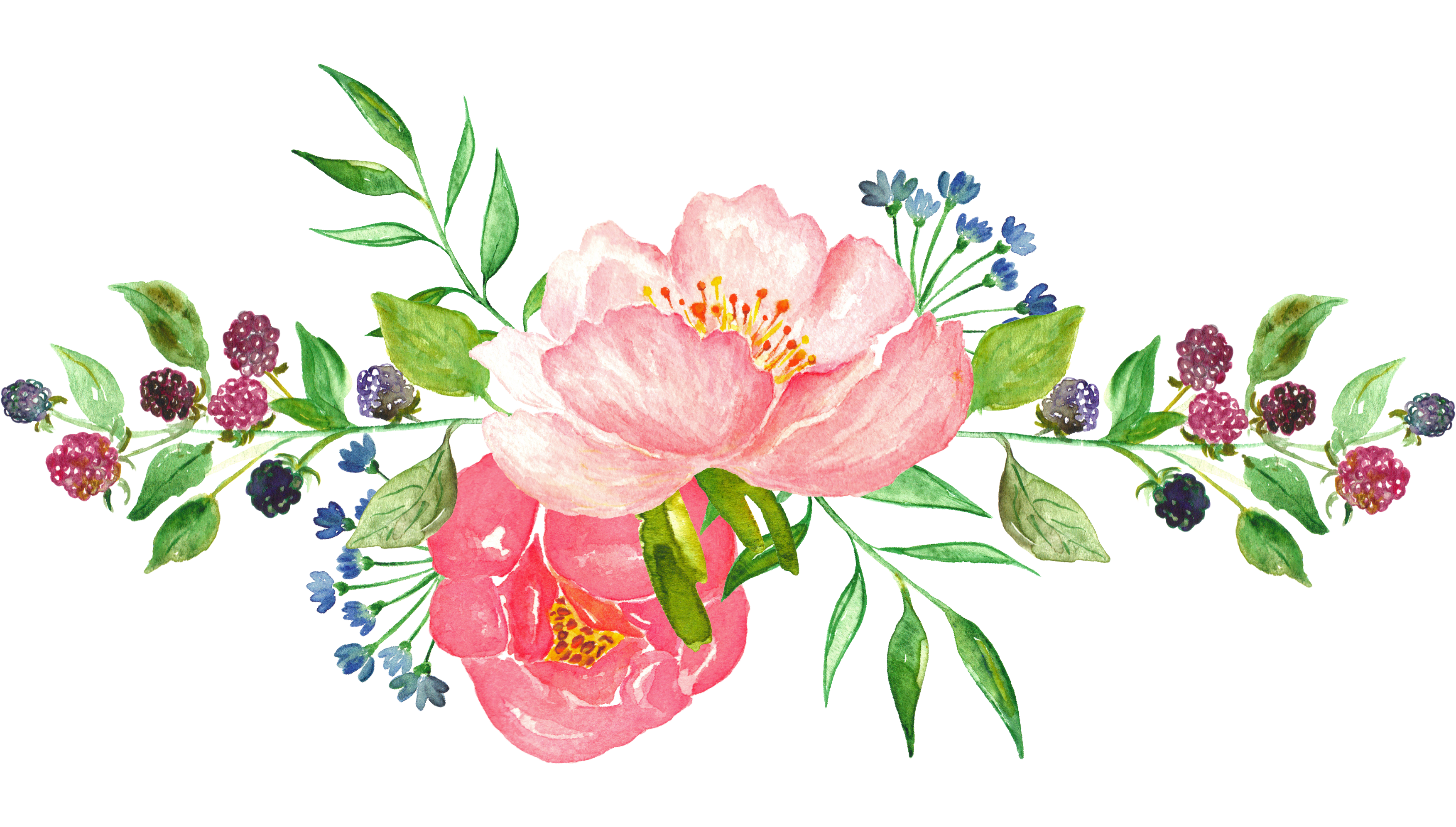 Watercolor Flowers Transparent at GetDrawings | Free download