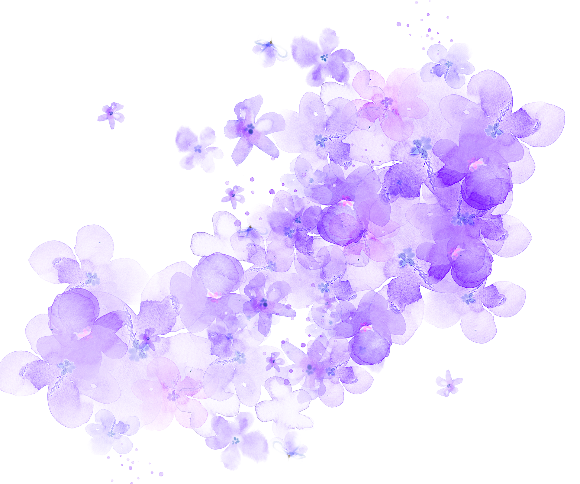 Watercolor Flowers Transparent at GetDrawings | Free download