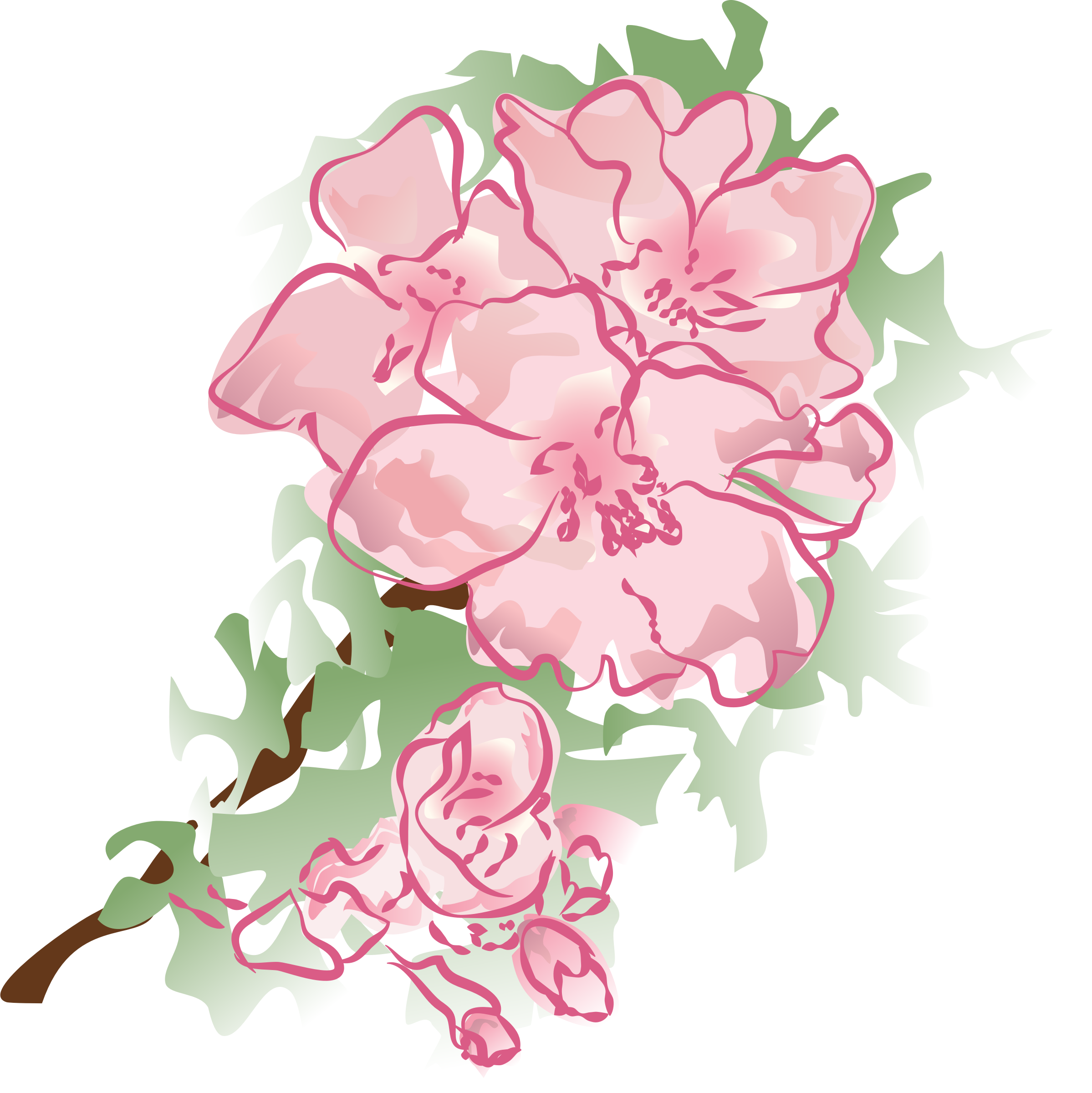 Watercolor Flowers Transparent at GetDrawings | Free download