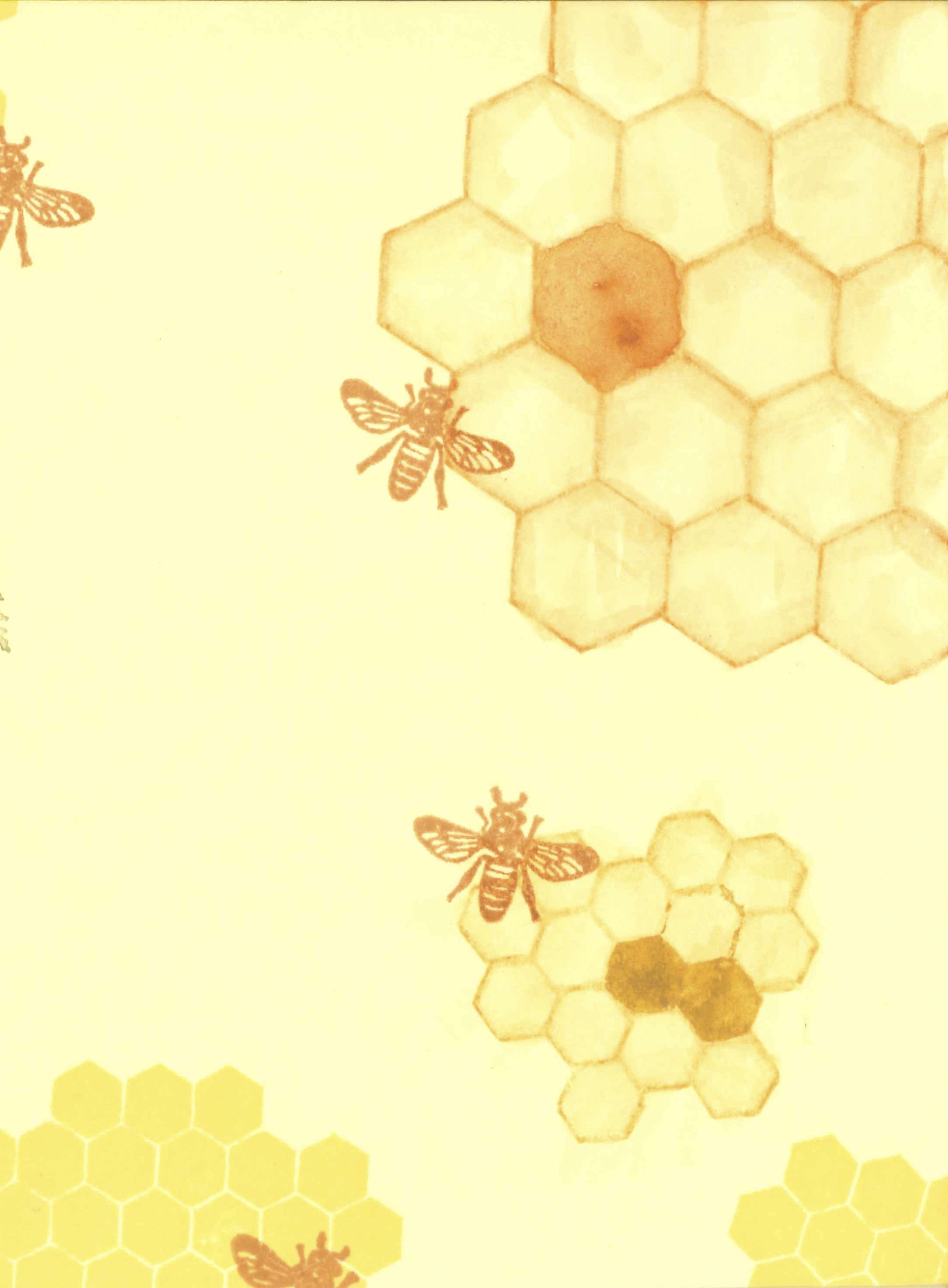 honeycomb drawing