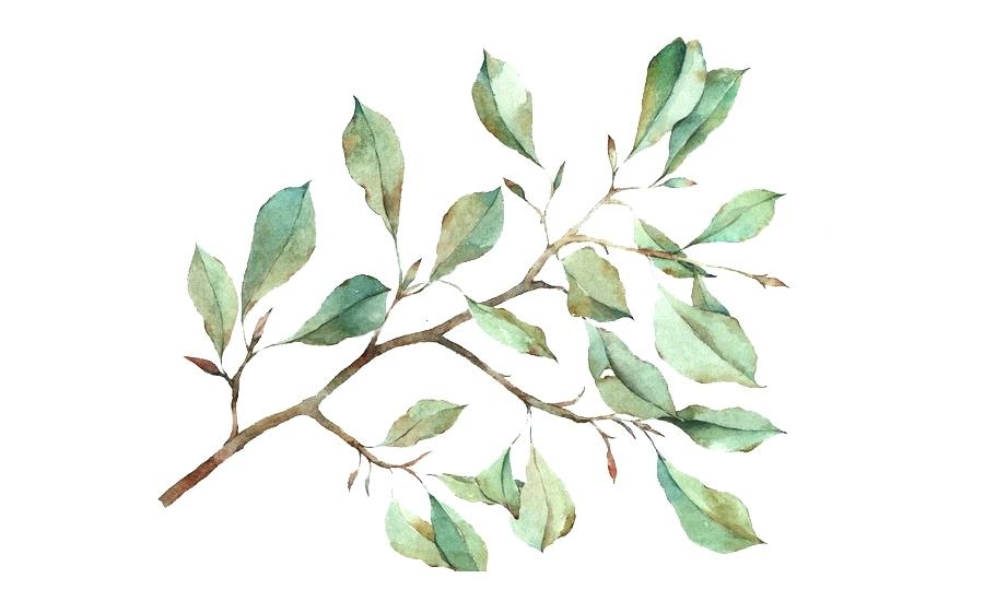 Watercolor Leaf Painting At Getdrawings 