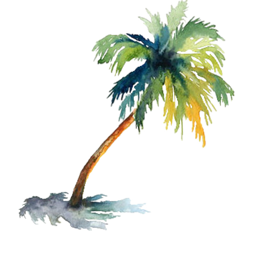 watercolor-palm-tree-at-getdrawings-free-download