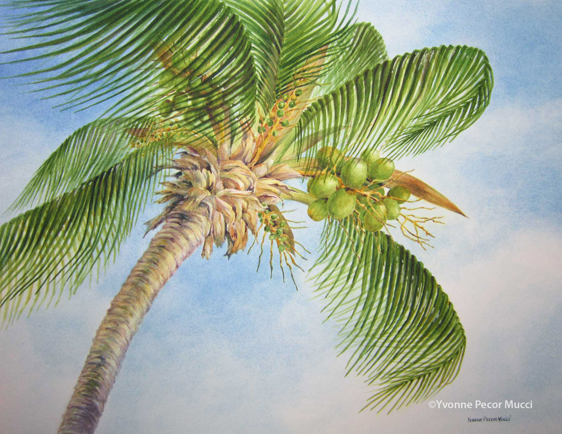 watercolor-palm-tree-at-getdrawings-free-download