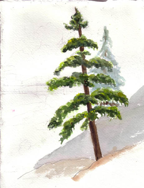 Watercolor Pine Tree At Getdrawings Free Download