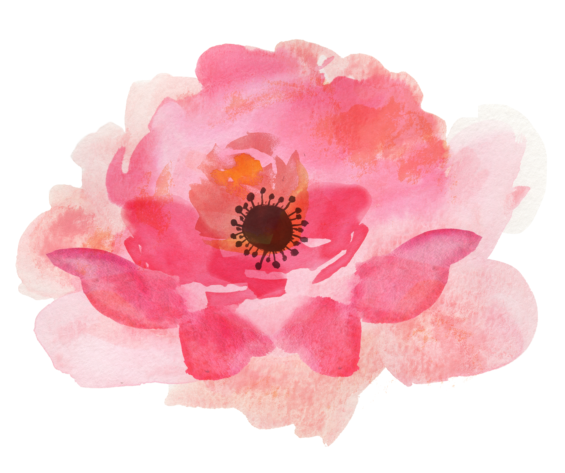 Watercolor Floral Png At Getdrawings Free Download