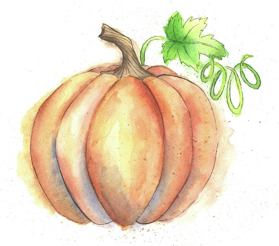 Watercolor Pumpkin at GetDrawings Free download