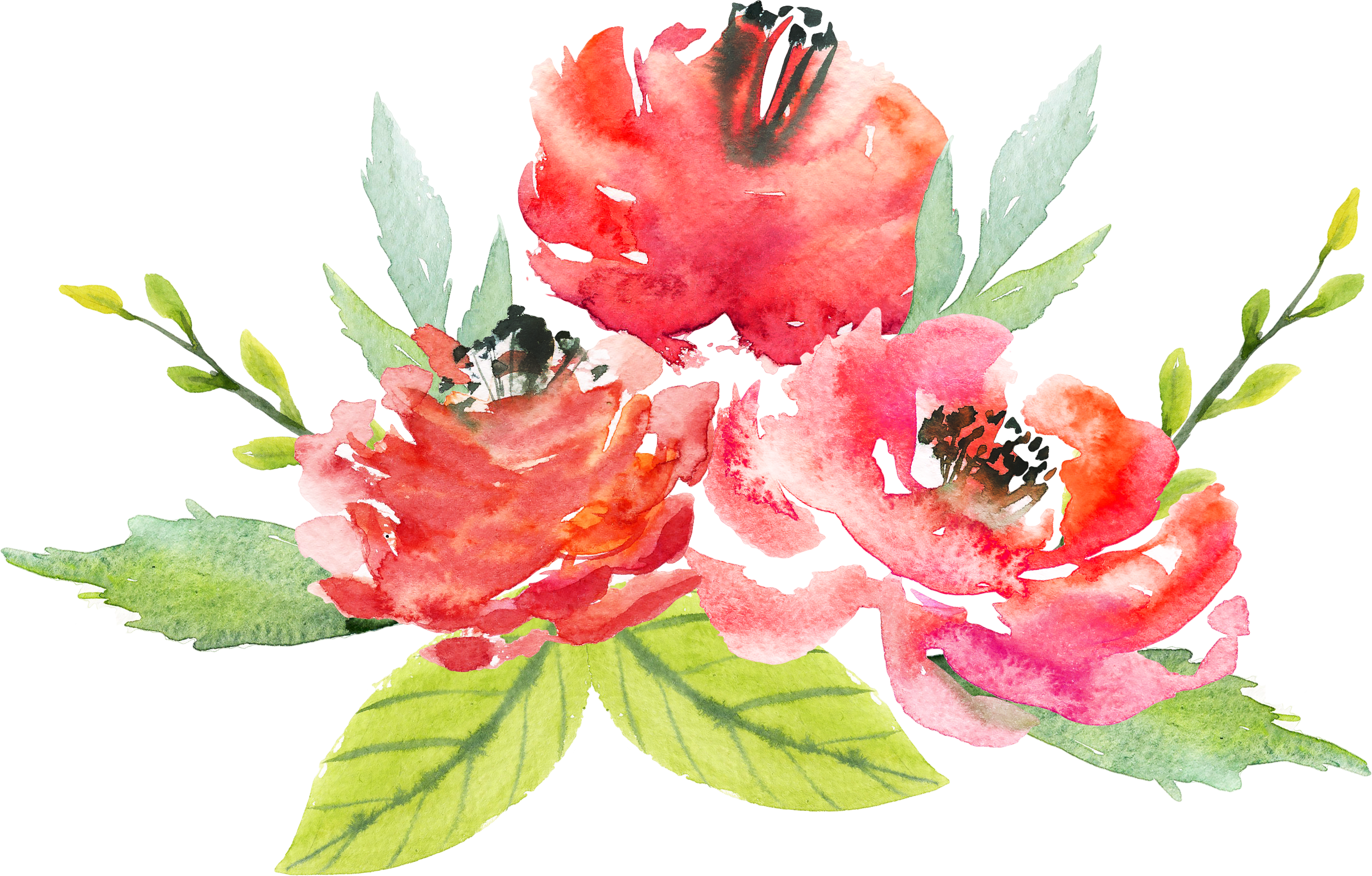 Watercolor Red Flowers at GetDrawings Free download