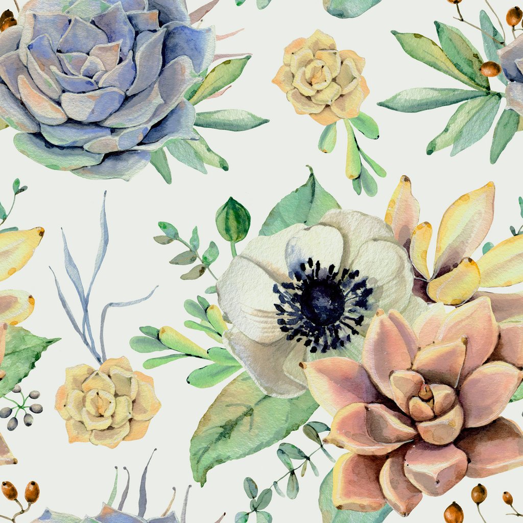 Watercolor Succulent Wallpaper at GetDrawings | Free download