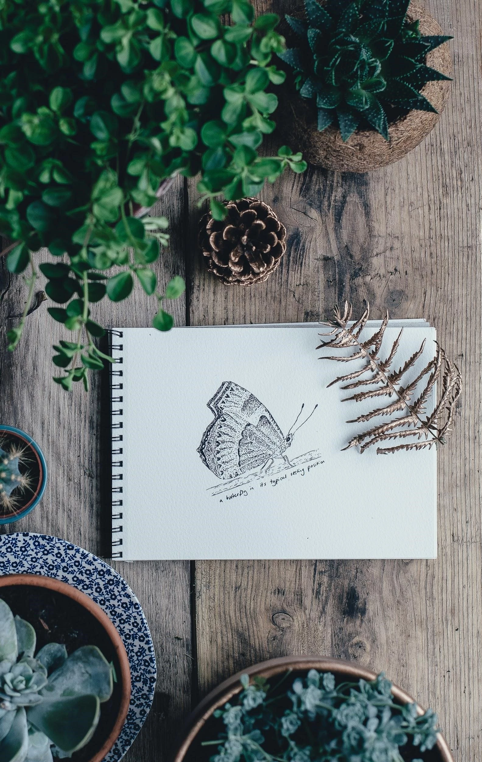 sketchbook with butterfly