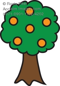 209x300 Clip Art Illustration Of An Orange Tree
