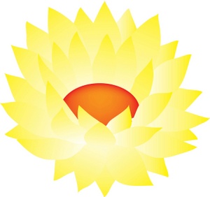 300x282 Free Free Flower Pictures 0071 0908 2314 5727 Pictures Flowers