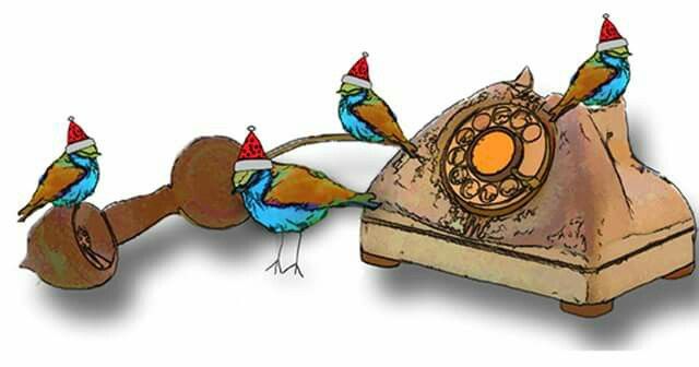 640x336 16 Best 12 Days Of Christmas 4 Calling Birds Images