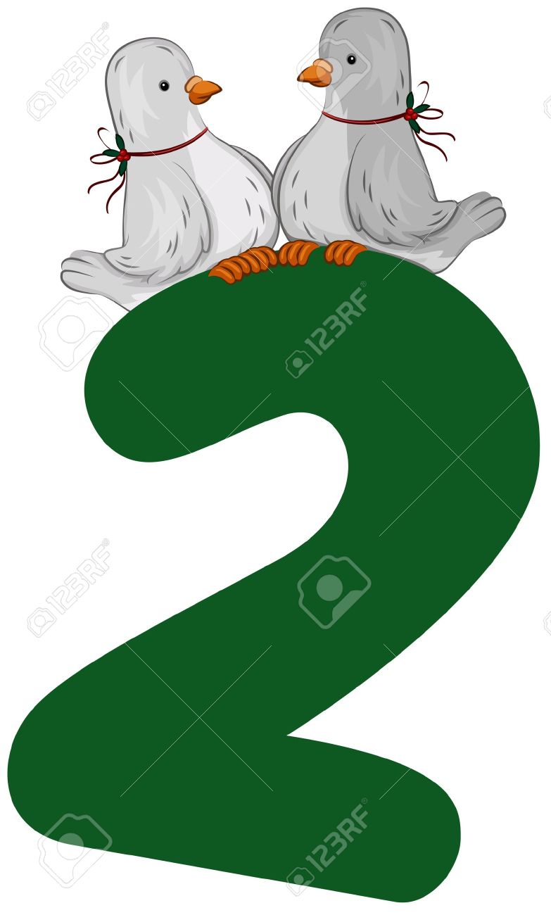 783x1300 Turtle Dove Clipart Simple