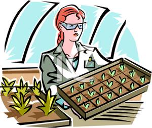 300x253 A Florist With Plant Starts Clip Art Image