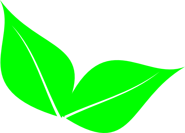 600x431 Two Leaves Clip Art
