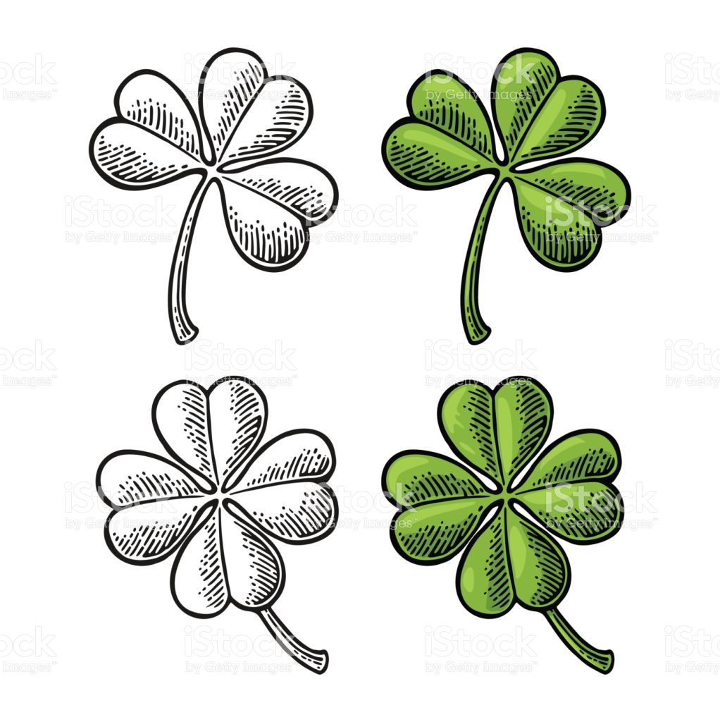 1022x1024 Vintage Clover Clipart, Explore Pictures