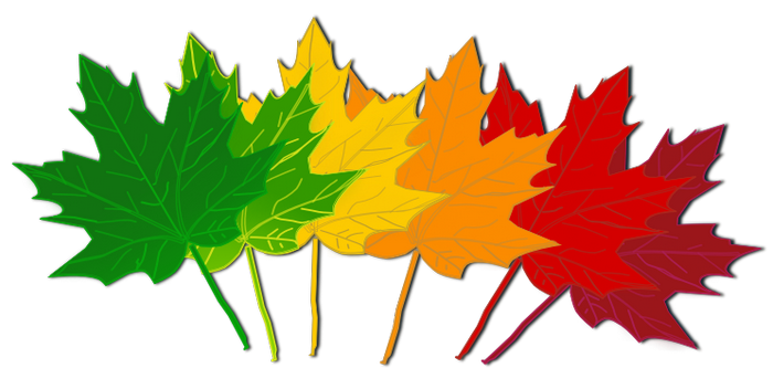 700x352 Clip Art Fall Colors Clipart
