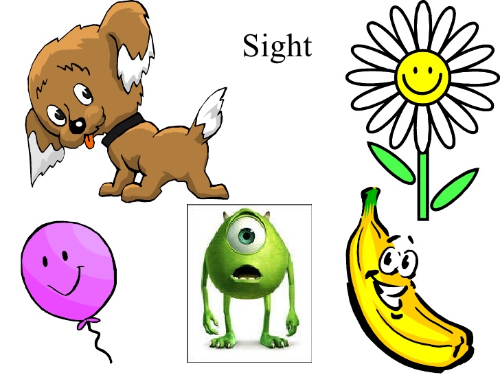 728x546 5 Senses