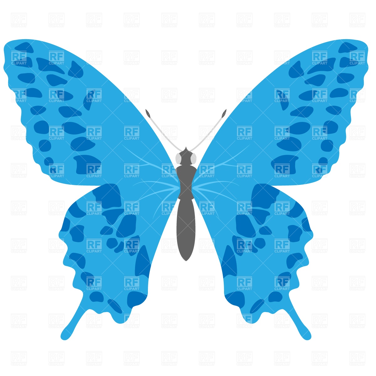 1200x1200 Swallowtail Butterfly Royalty Free Vector Clip Art Image
