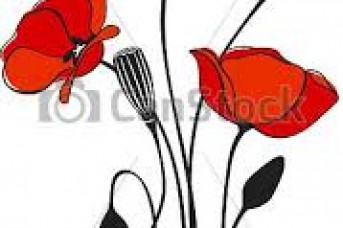 343x228 Poppy Flower Pictures Clip Art