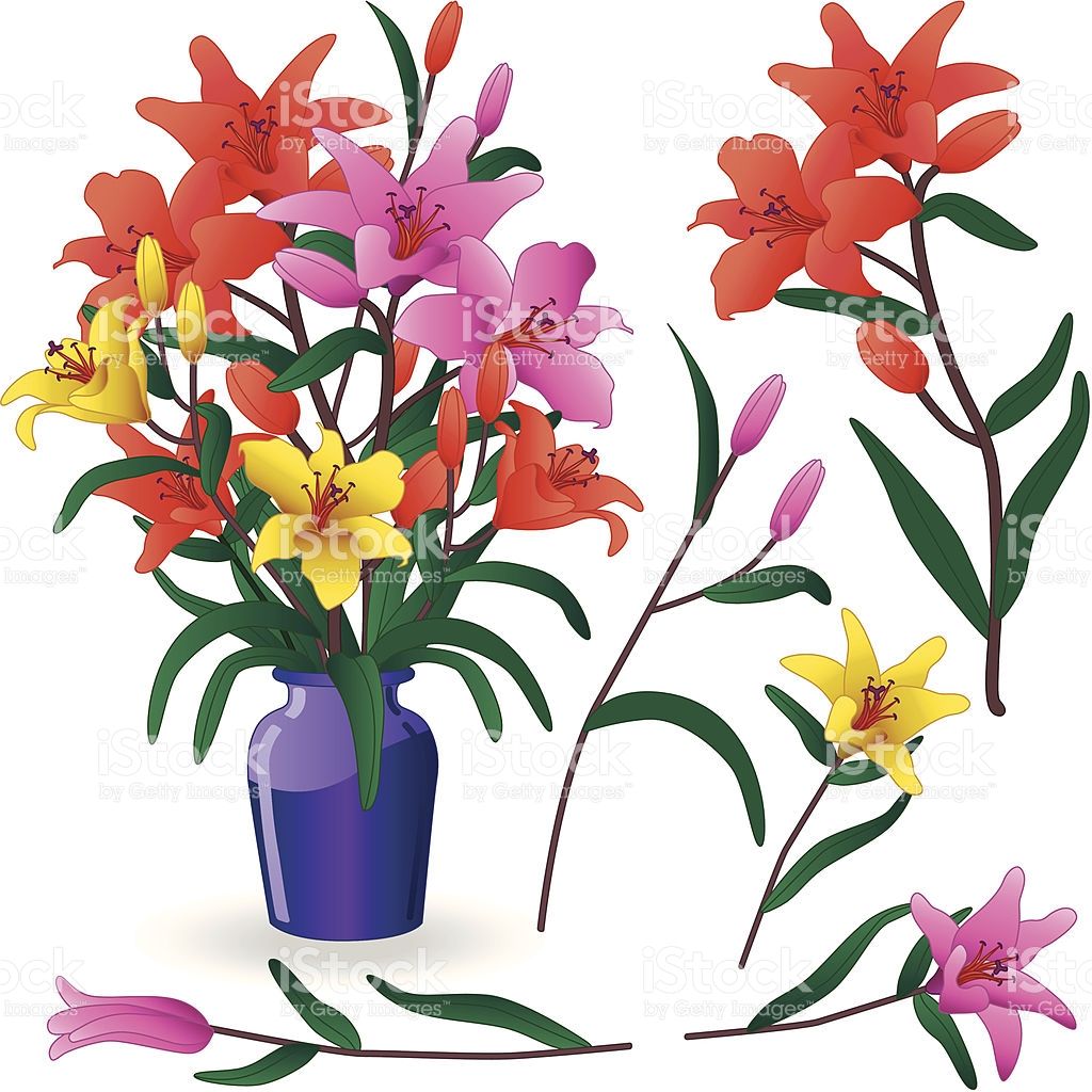 1024x1024 View Thousands Amazing Images On Abstract Flowers