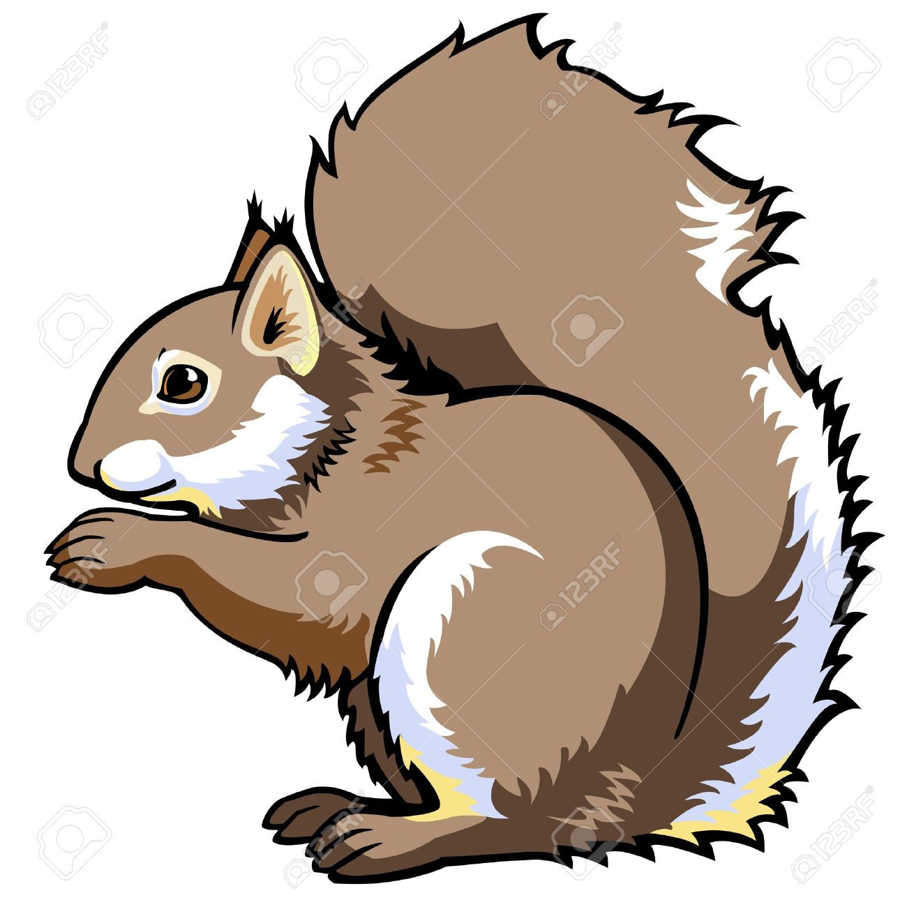 1300x1300 Top 87 Squirrel Clip Art