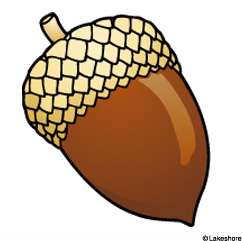 243x241 Acorn Clip Art
