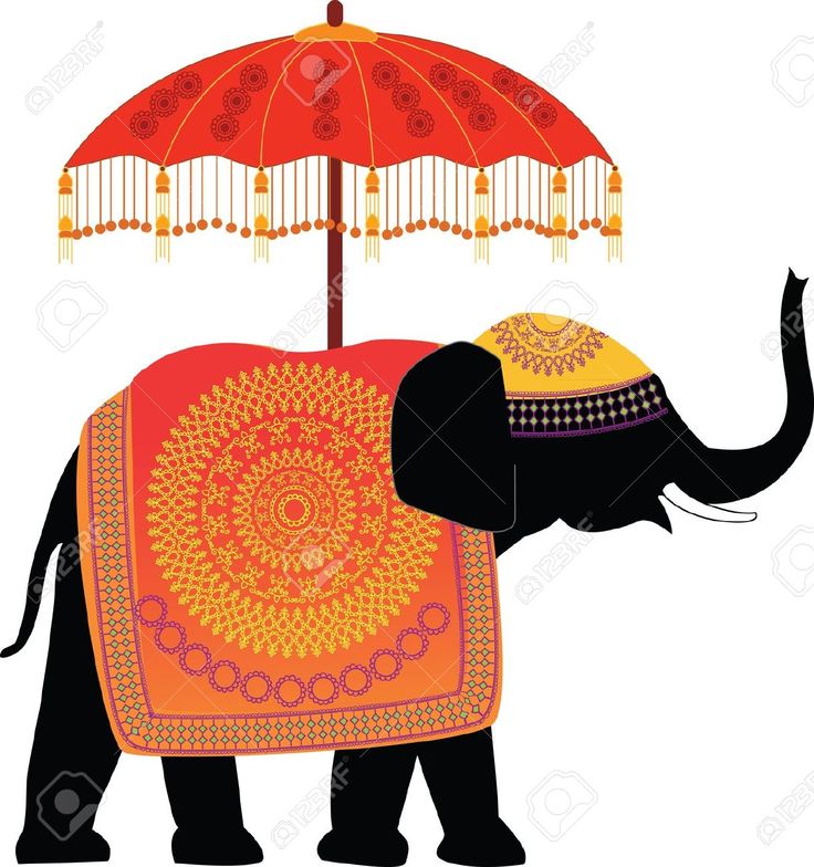 736x784 11 Best Elephants Adorned Images On Elephants
