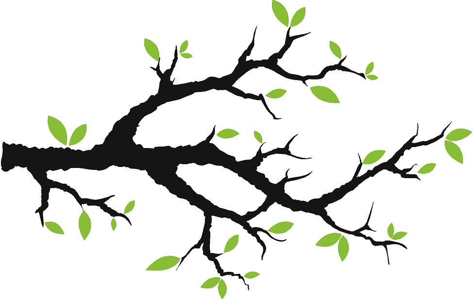 974x616 Clipart Of Tree Branches 101 Clip Art