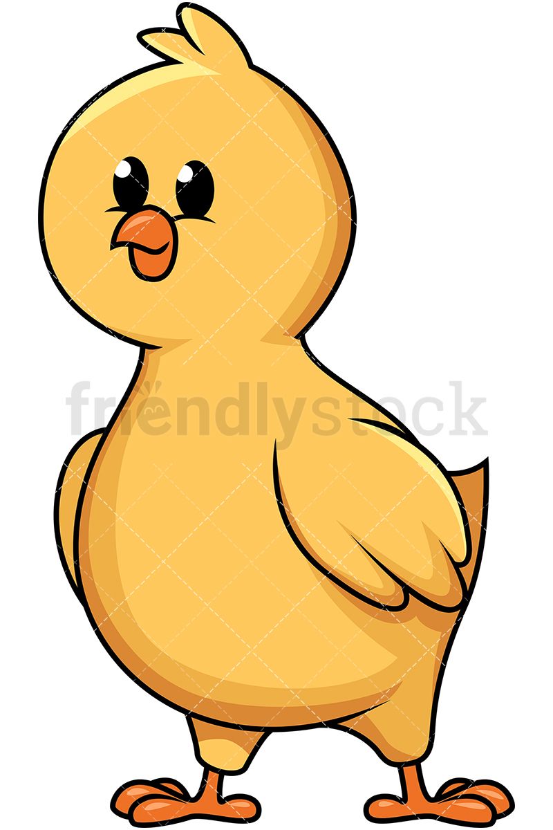 800x1200 Cute Little Chicken Cartoon Vector Clipart Royalty, Cartoon