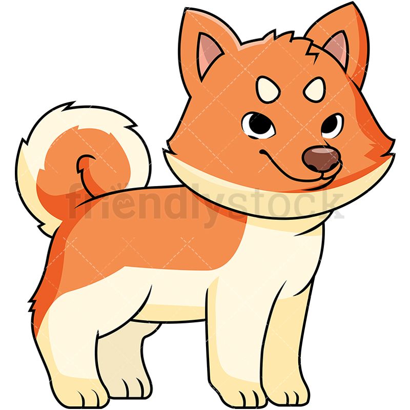 800x800 Cute Akita Puppy Cartoon Vector Clipart Akita