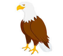 205x182 Search Results For Eagle