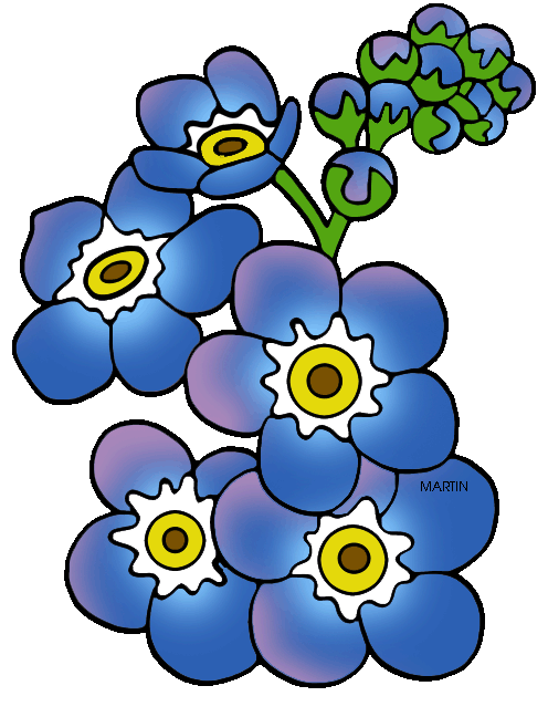 496x648 United States Clip Art By Phillip Martin, State Flower Of Alaska