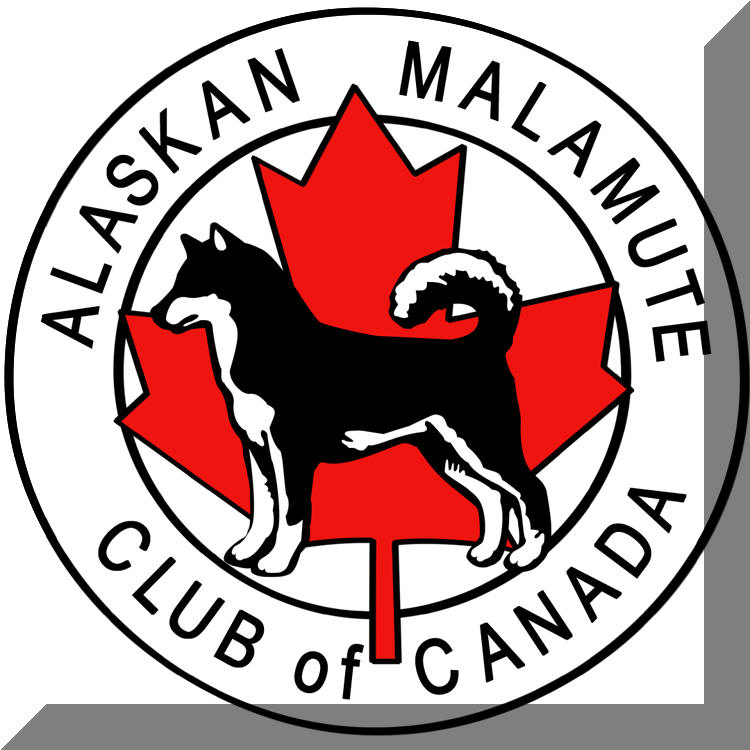 750x750 Helpful Links