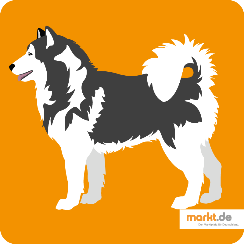 Alaskan Malamute Clipart at GetDrawings | Free download