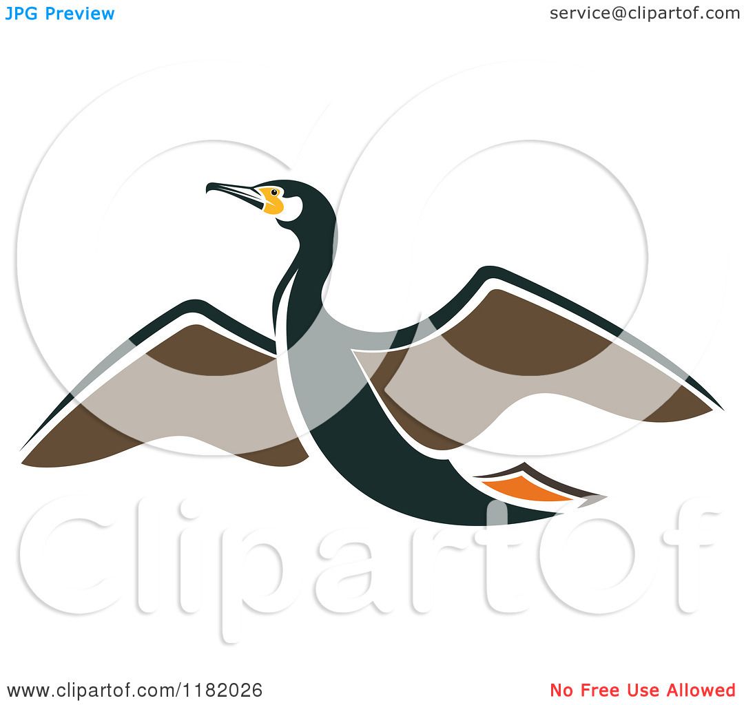 1080x1024 Clipart Of A Flying Albatross Bird
