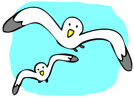 451x331 Seagull Clipart