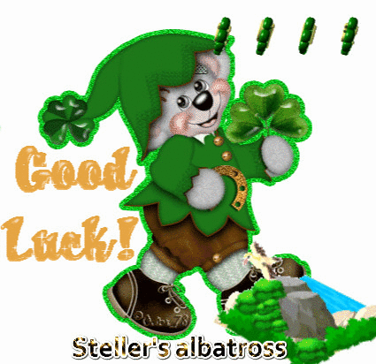 425x412 Steller's Albatross St. Patrick Zpif Seasonal