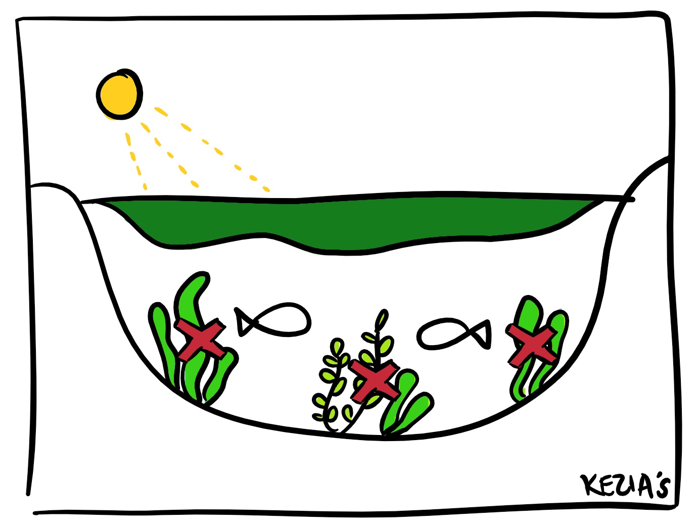 1381x1049 Diffuse Pollution Eutrophication