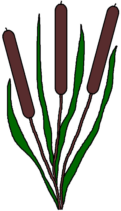 467x812 Pond Water Clipart 3