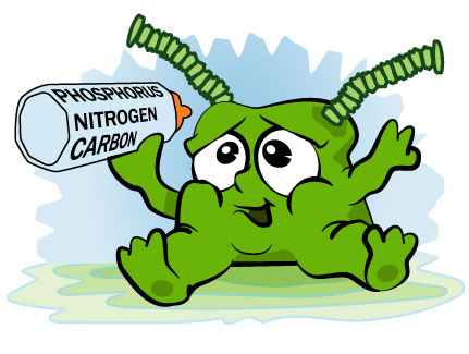 431x325 Beware The Cyano Monster News