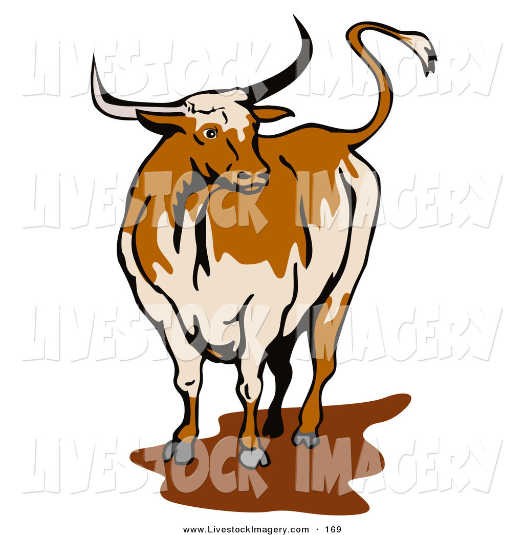 1024x1044 Longhorn Cattle Clipart Fiscalreform