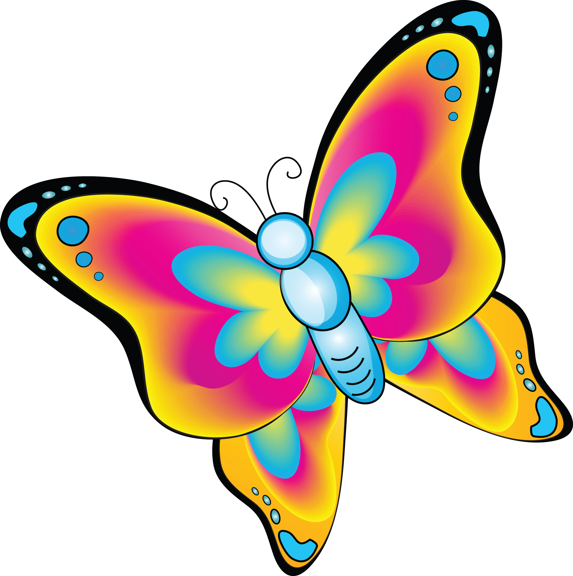2000x2009 Cartoon Butterfly Cliparts Free Download Clip Art