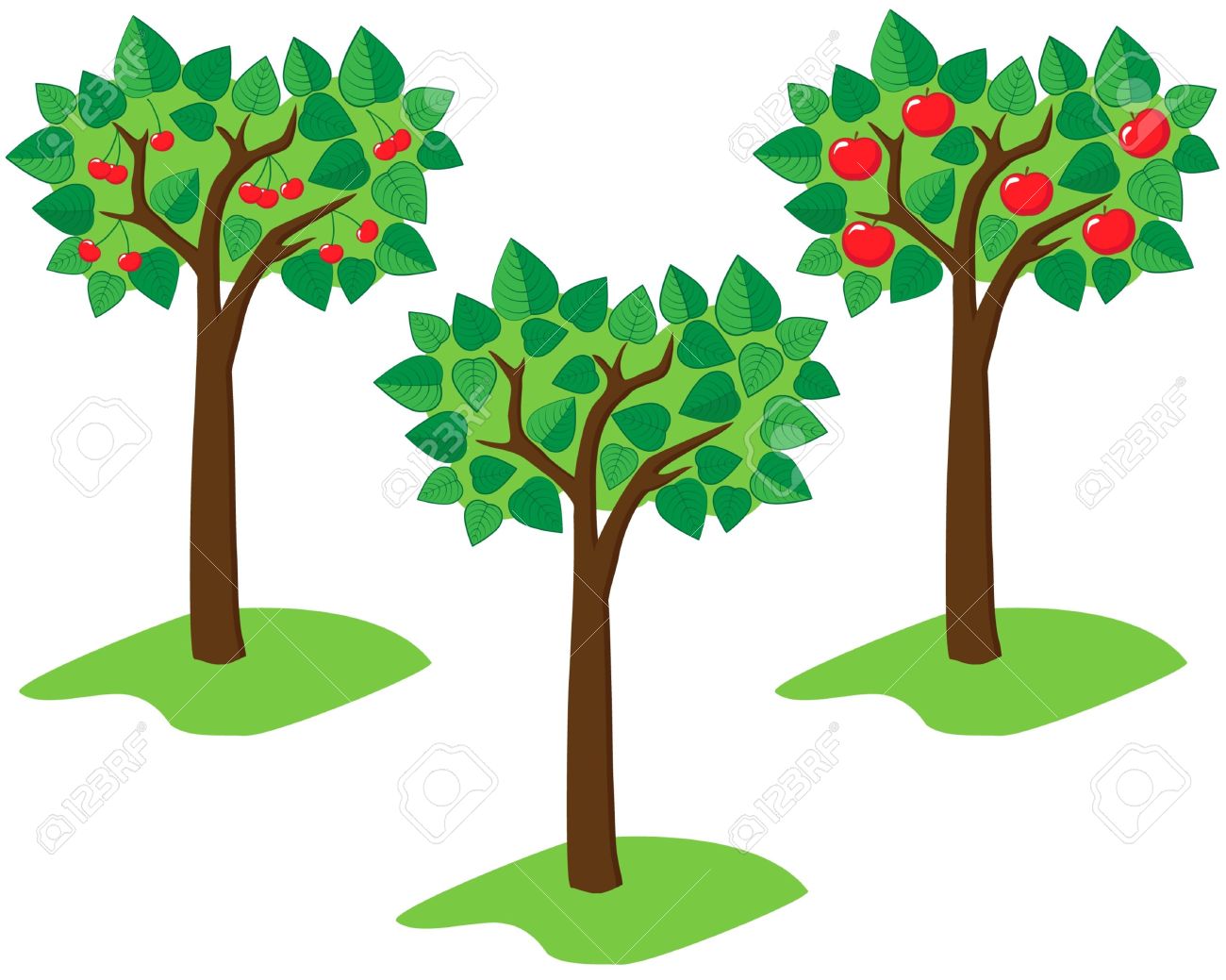 1300x1039 Cherry Tree Clipart Fruit Drawing