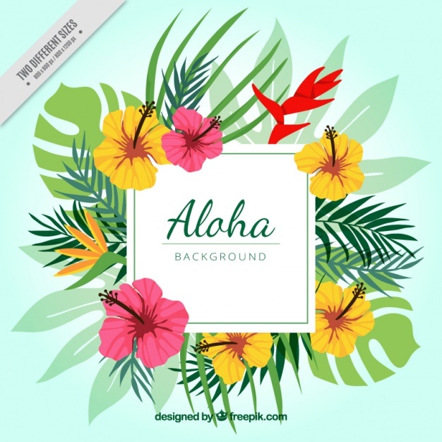 626x626 Hawaii Vectors, Photos And Psd Files Free Download
