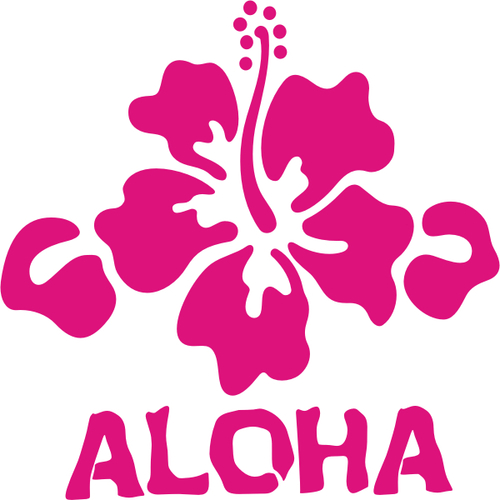 500x500 Aloha Ball