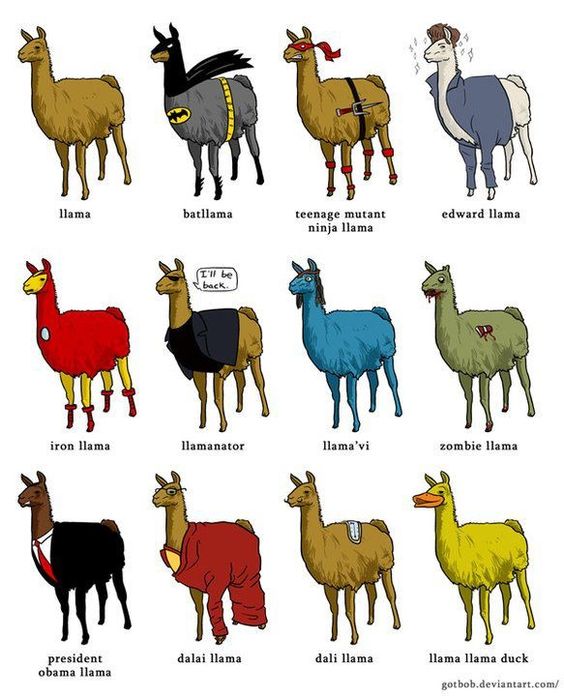 564x696 Alpaca Clipart