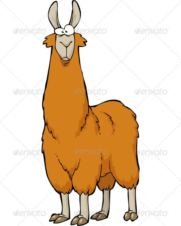 590x737 Animated Alpaca Clipart