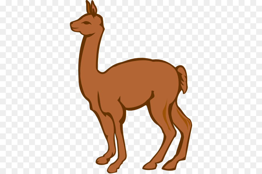 900x600 Llama Alpaca Cartoon Clip Art