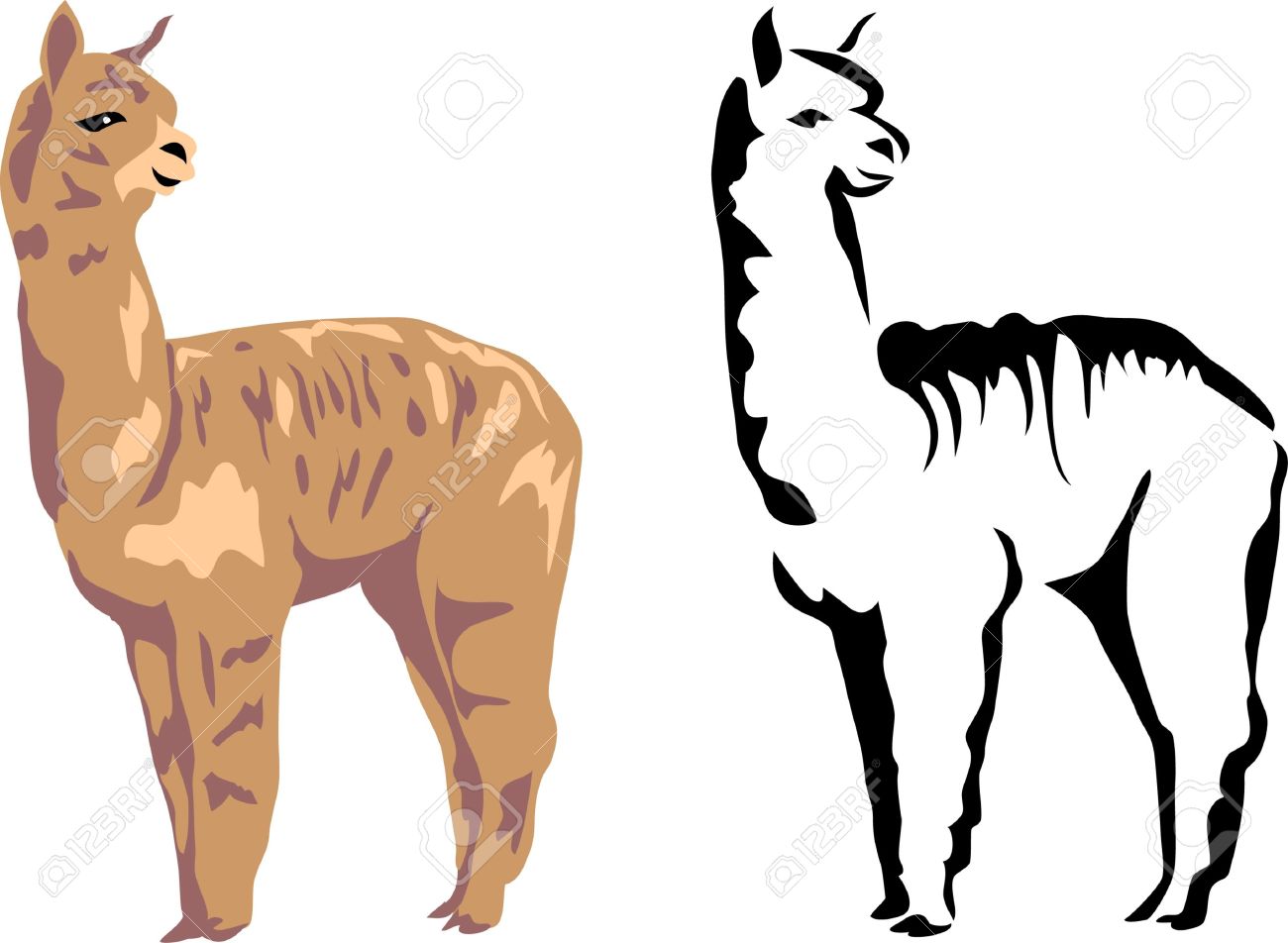 1300x952 Alpaca Clipart Clipart Panda